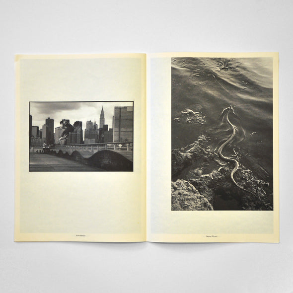 OLO Board Art Magazine 03