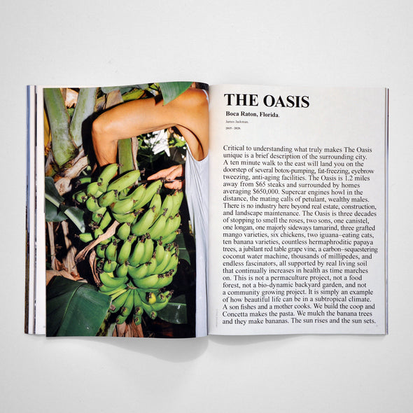 Primitive Skills Magazine Volume 4